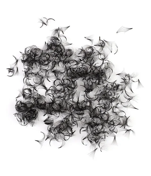 12D Handmade Loose Promade Fans Lashes -500 Fans