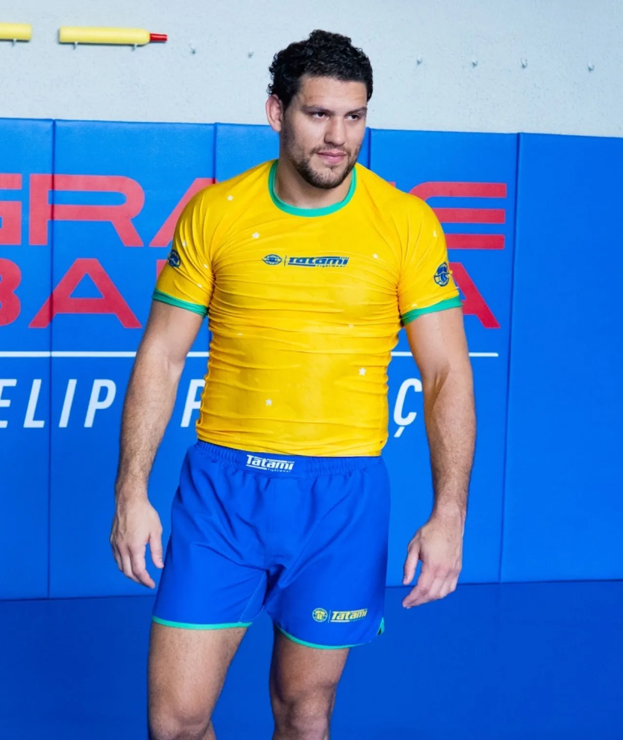 Brasileiro High Cut Shorts
