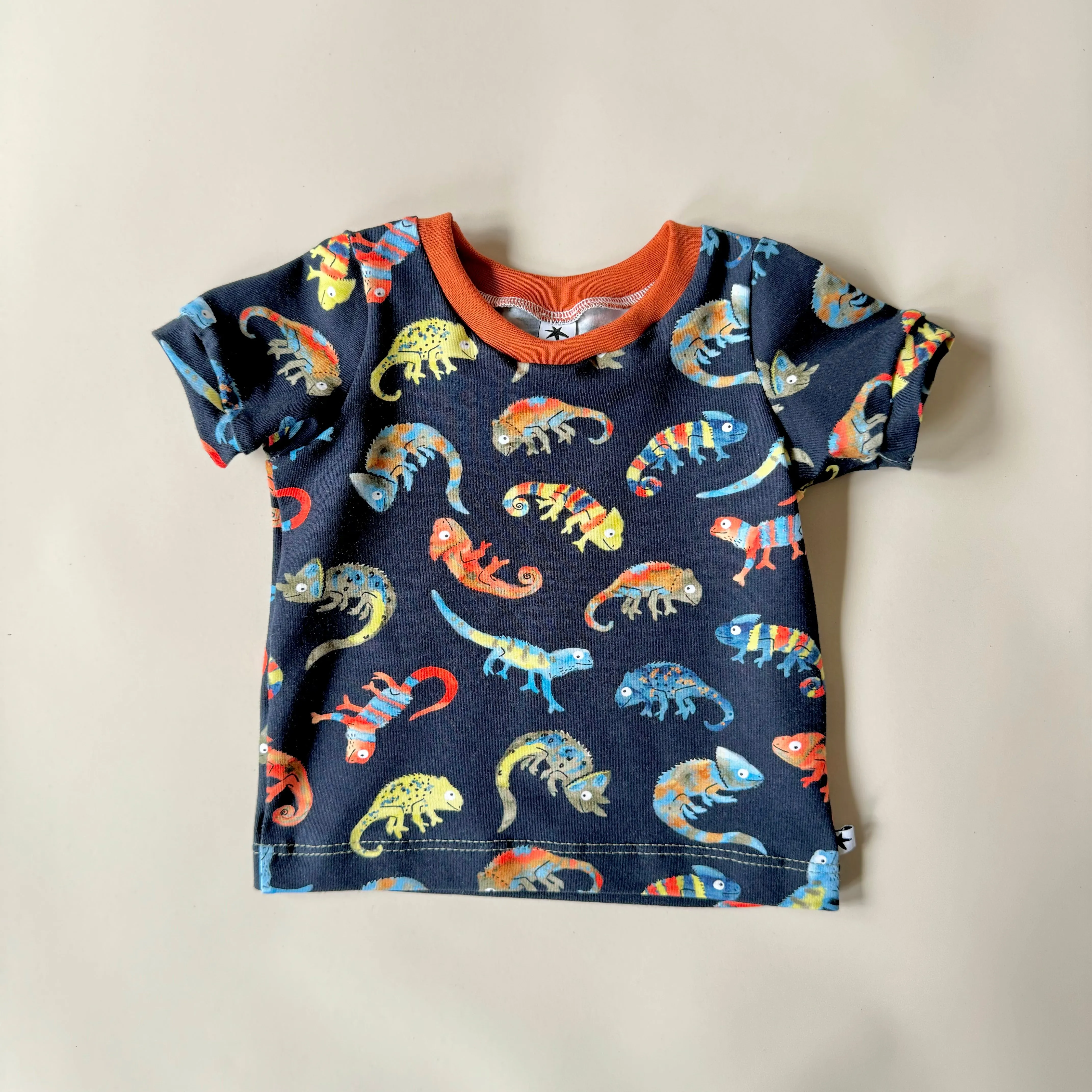Chameleon T-shirt - Long or Short Sleeve