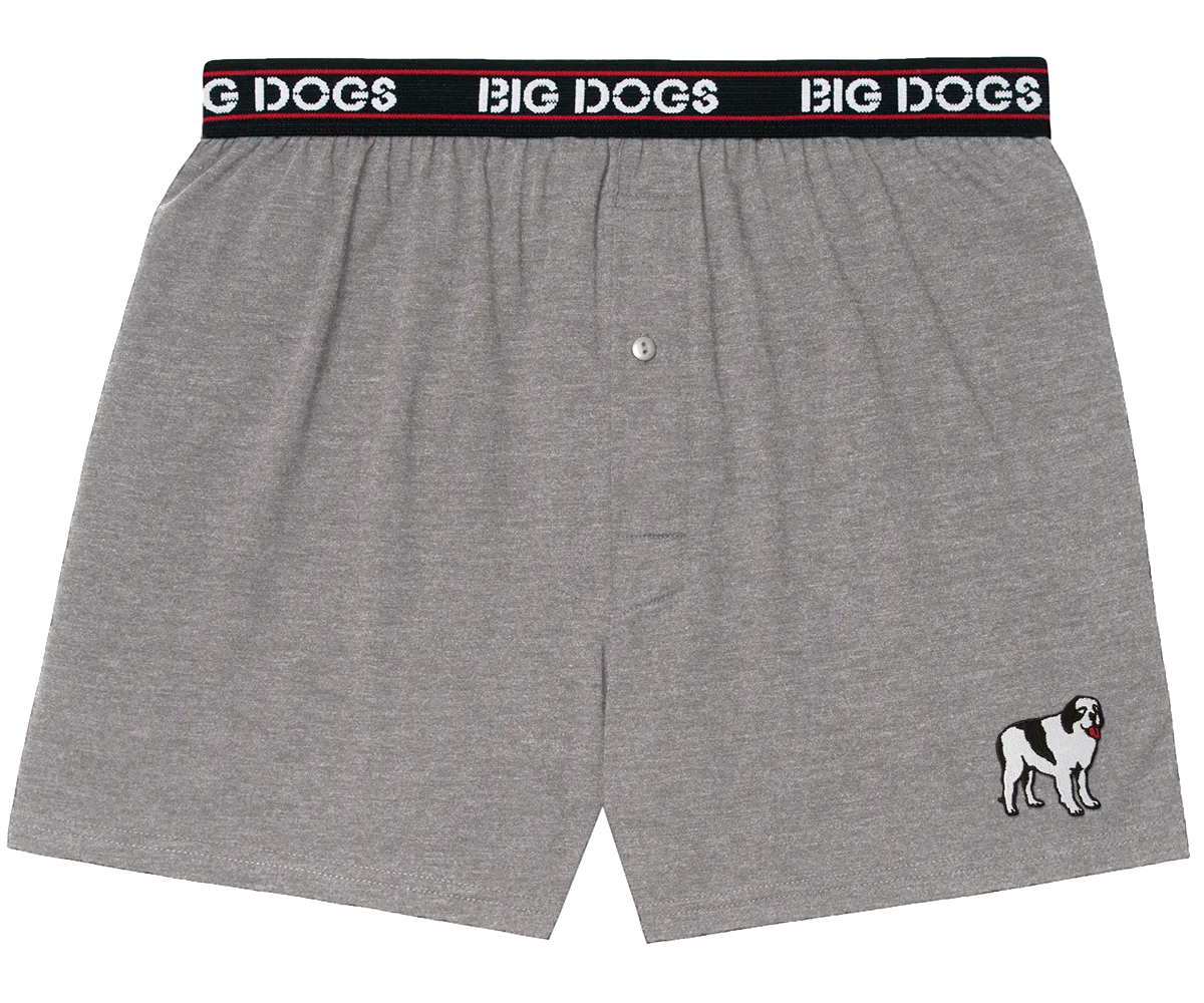 Classic Solid Logo Boxers