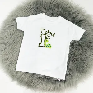 Dinosaur Birthday T-Shirt (Various Coloured T-Shirts)
