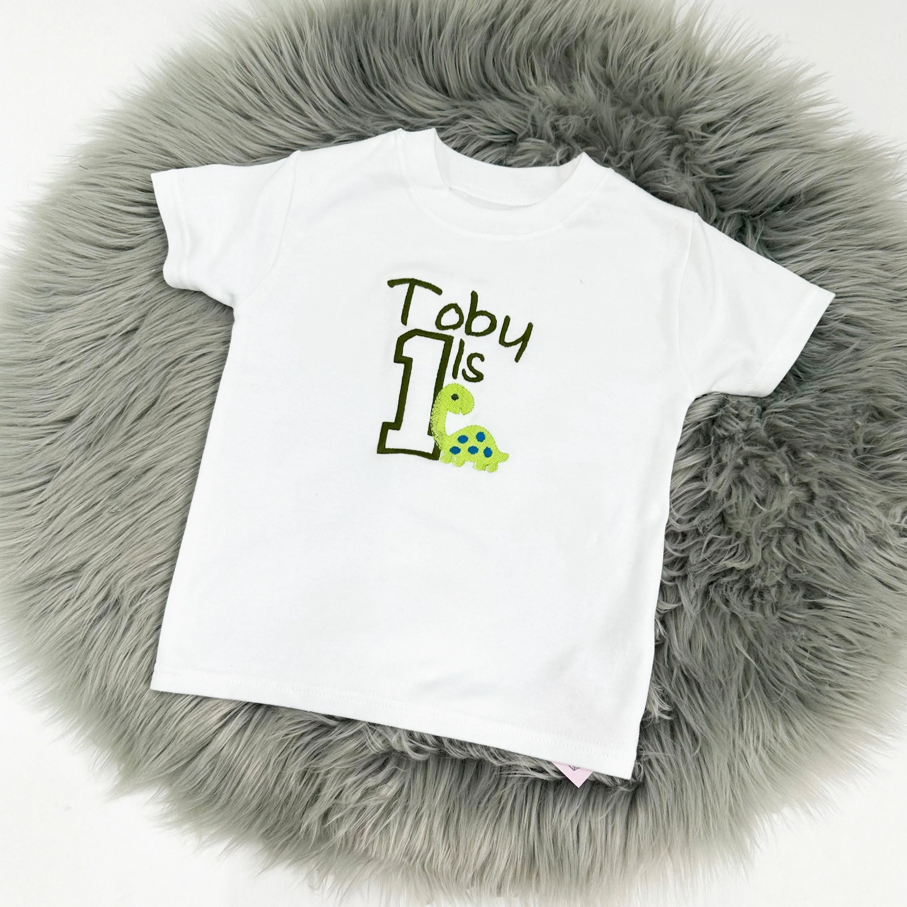 Dinosaur Birthday T-Shirt (Various Coloured T-Shirts)