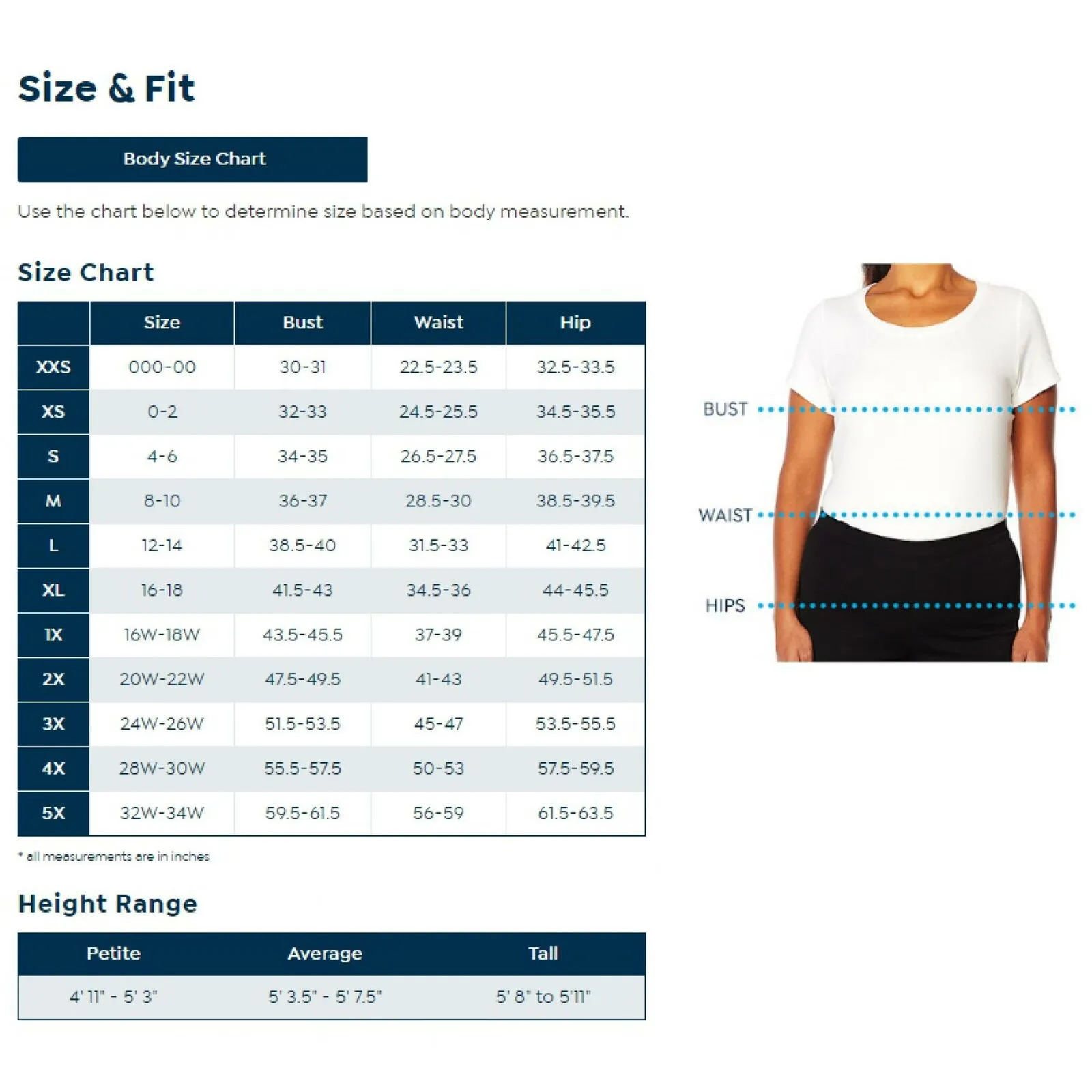 IMAN Women's Plus Size 2 Pack City Chic Short Sleeve T-Shirts With Necklace