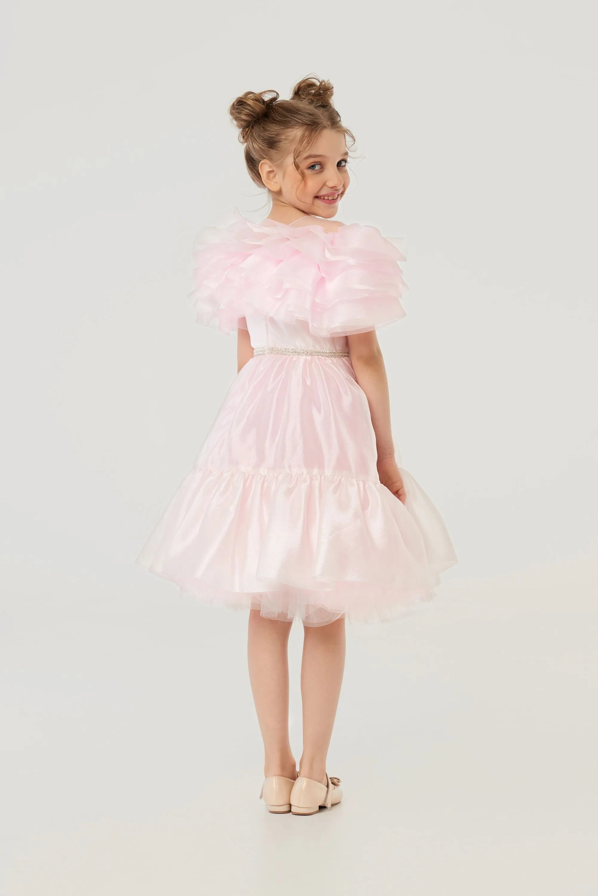 Layered Top Organza Dress
