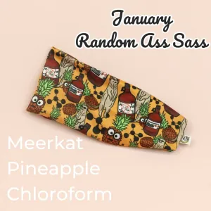Meerkat Pineapple Chloroform Random Ass Stretch