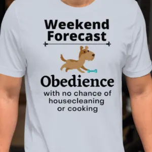 Obedience Weekend Forecast T-Shirts - Light