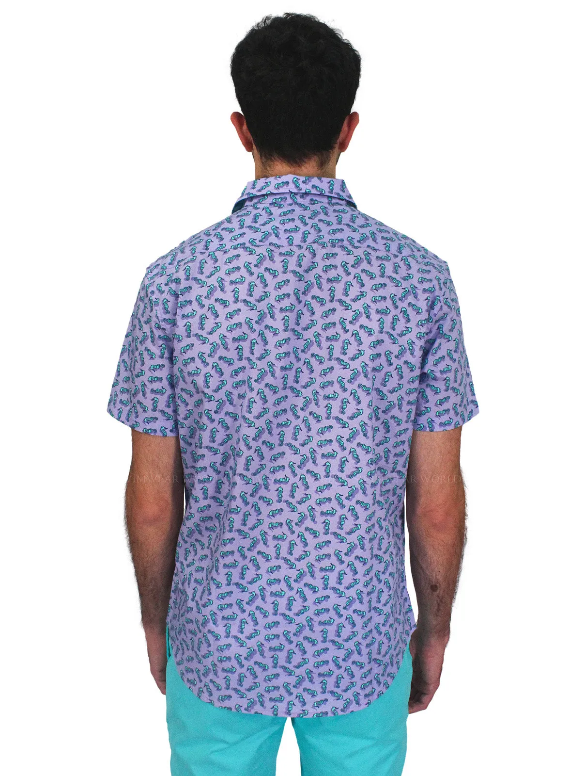 Scott Shirt