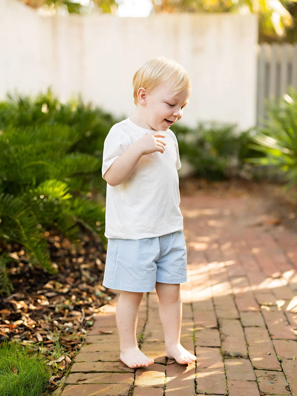 Smith Light Blue Twill Shorts