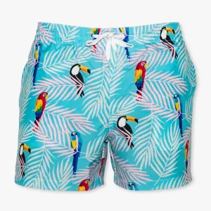 The Toucans (Stretch)