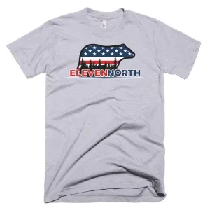 Ursa Major USA T-Shirt